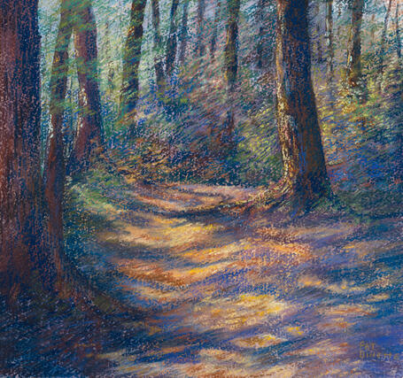 Bowdoin Trail, Goodwill-Hinckley