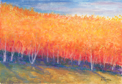 Autumn Trees