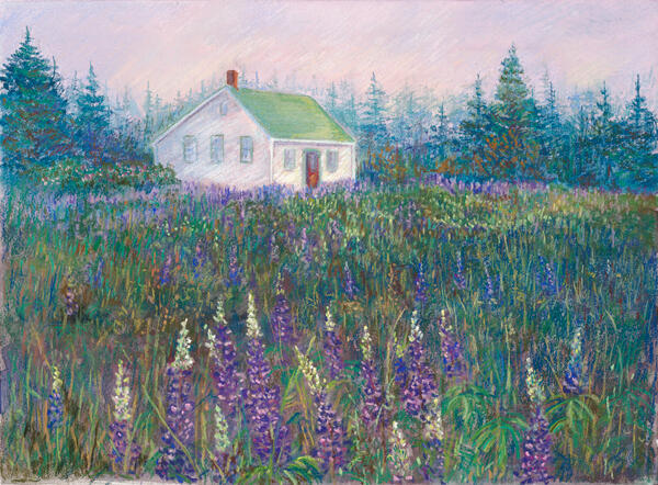 Monhegan Lupines