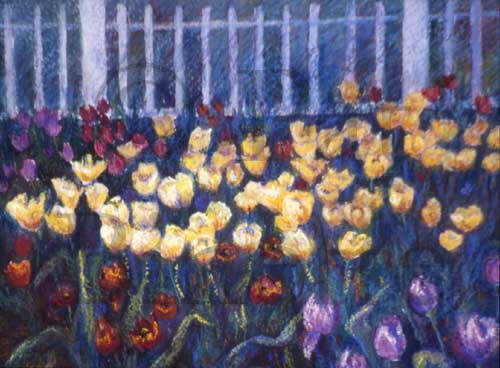 Tulips