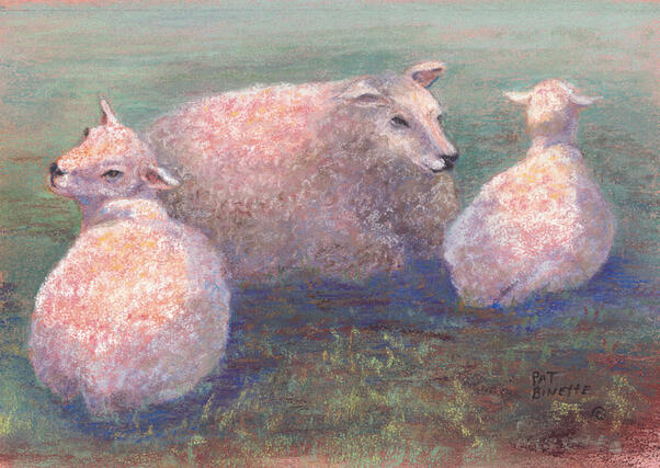 Family Circle (Three Sheep)