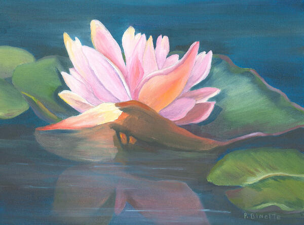 Pink Lotus