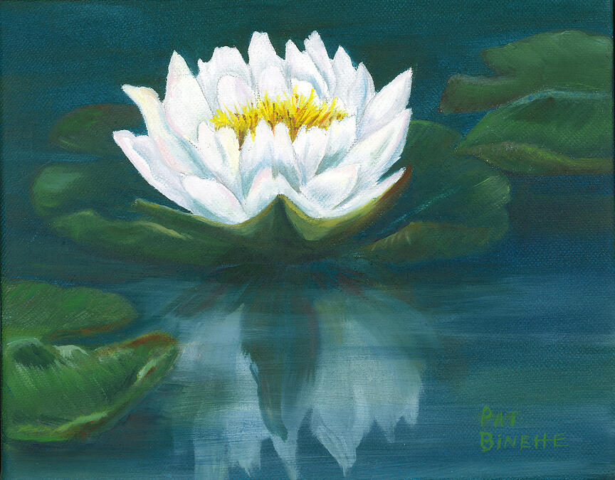 Water Lily