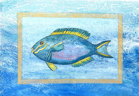 Parrotfish