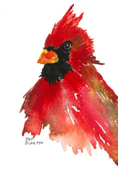 Red Cardinal