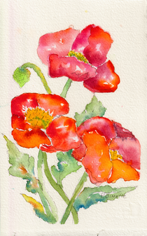 Poppies (2022)